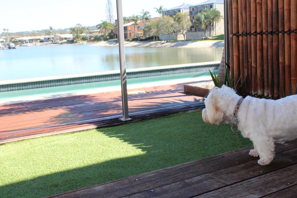 Saltwater Villas - Pet Friendly Accommodation Mooloolaba Eksteriør bilde